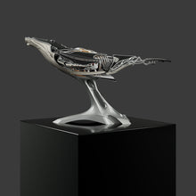 Humpback Whale