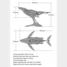 Humpback Whale