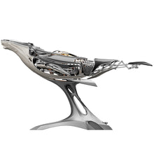 Humpback Whale