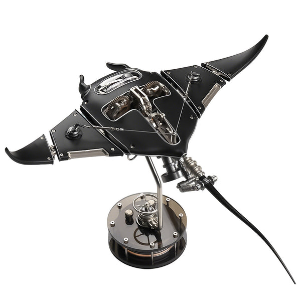 Black Manta Ray Stingray