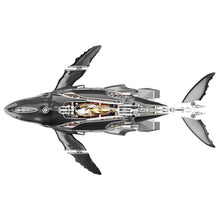 Humpback Whale