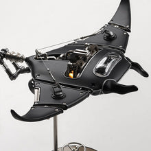 Black Manta Ray Stingray