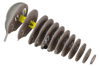 EUGY Kiwi 3D Puzzle